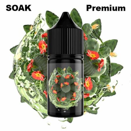 Жидкость SOAK L (Лимонад с кактусом) 30 мл 2% (20 мг/мл)